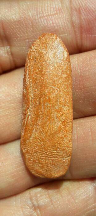 พระไม่ทราบที่ เคาะเดียว   