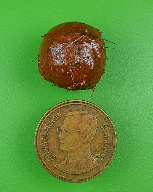 ลูกอมว่าน108ผสมชานหมาก+เกศา ญาท่านเขียน ป่าช้าโพนสิม อุบลราชธานี .B837.