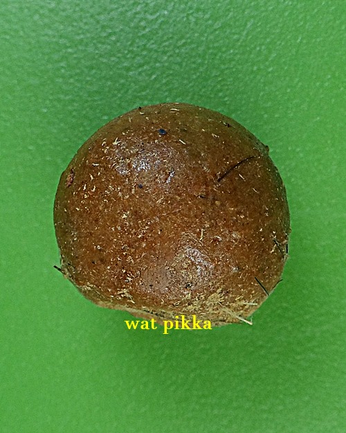 ลูกอมว่าน108ผสมชานหมาก+เกศา ญาท่านเขียน ป่าช้าโพนสิม อุบลราชธานี .B837.*