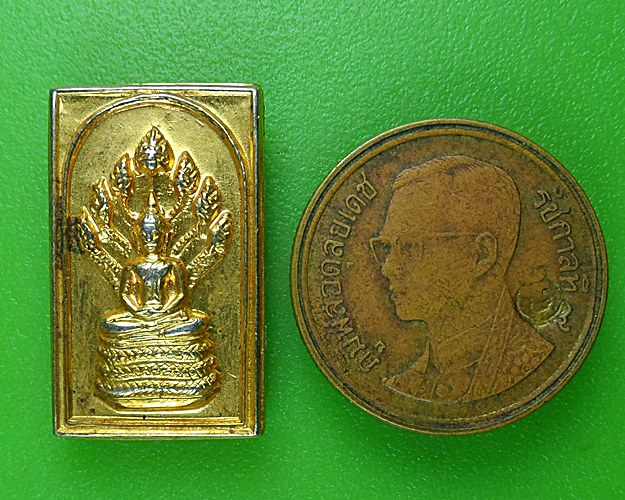 เหรียญพระพุทธ นาคปรก .B862.