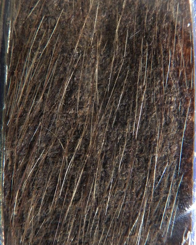 สมเด็จหนังเสือ เก่าเก็บอายุเกิน 40 ปี ขนาด 5 x 3เศษ ซ.ม.