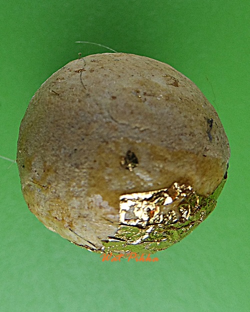 ลูกอมหลวงพ่อจำลอง วัดเจดีย์แดง อยุธยา .C260.*