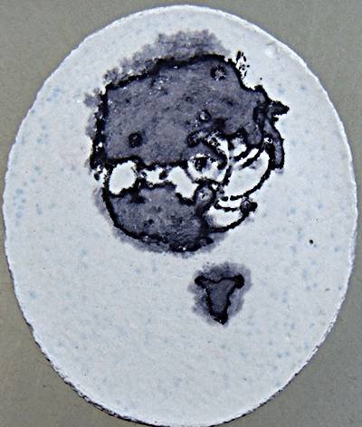 ๒๐ พระผงมหาจักรพรรดิหลวงตาม้า วัดถ้ำเมืองนะ จ เชียงใหม่