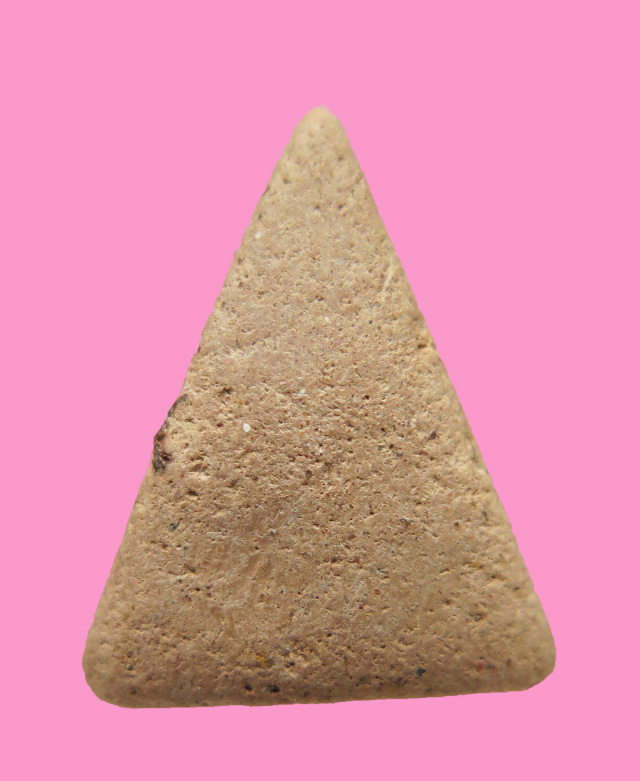 นางพญาเนื้อดิน