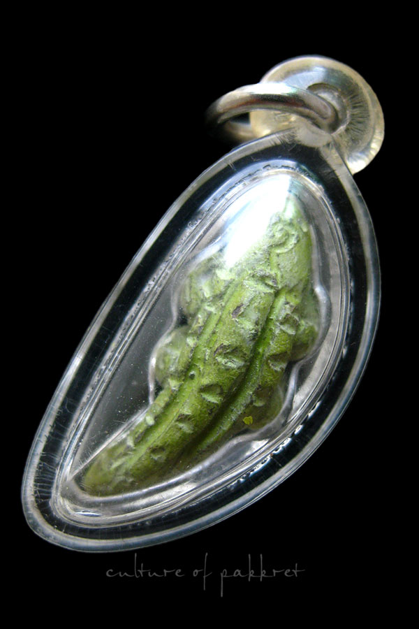 จรเข้ หลวงพ่อครื้น วัดสังโฆ (01)