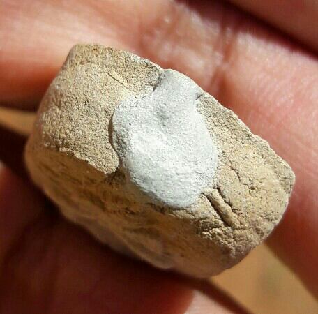 พระไม่ทราบที่ เคาะเดียว   