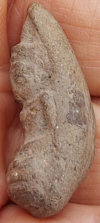 พระถ้ำเสือ 