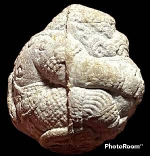 *ลูกอมหนุมานครองเมือง เนื้อชานหมาก รุ่นพูลสุข ปี๒๕๔๔ หลวงพ่อพูล วัดไผ่ล้อม นครปฐม*