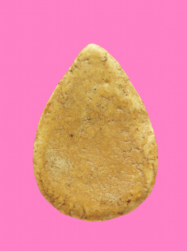 พระกลีบบัว เจ้าคุณผล วัดหนัง หลังจาร