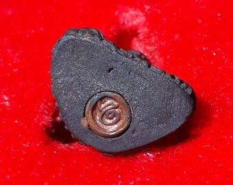 รูปหล่อหลวงพ่อกัน วัดเขาแก้ว ออกวัดสระปทุม(สระบัว) พิธีเสาร์5 ปี36