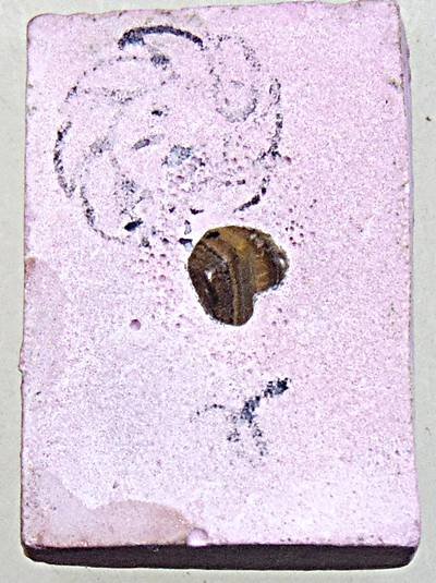 ๒๐ พระผงมหาจักรพรรดิหลวงตาม้า วัดถ้ำเมืองนะ จ เชียงใหม่  พิมพ์เล็ก