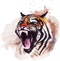 tigernasan58