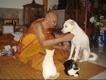 ธรณ์