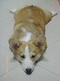 น้องพลอย