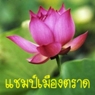 champ_raikhing