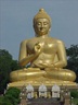 teera009
