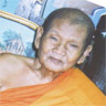 ต้นข้าวพระเครื่อง