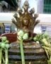 Nucha