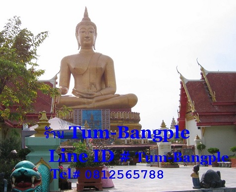 Tum_Bangple