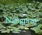 Nangpray