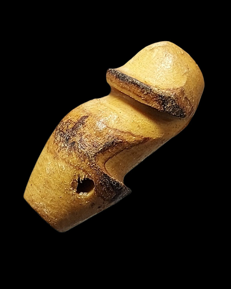 ปลัดขิกหลวงปู่เมฆ วัดลำกระดาน สาริกาตัวเล็กศิลป์นิยมท้องหยัก (1) - 2