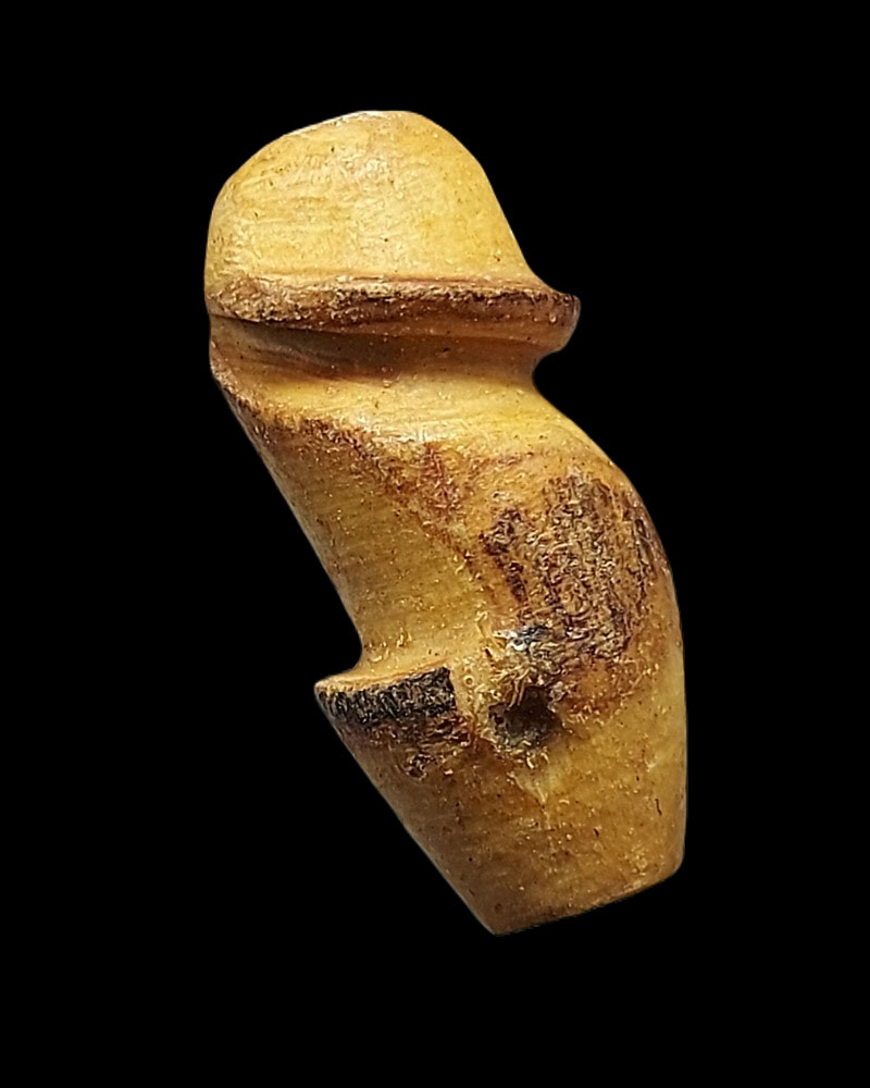 ปลัดขิกหลวงปู่เมฆ วัดลำกระดาน สาริกาตัวเล็กศิลป์นิยมท้องหยัก (1) - 3