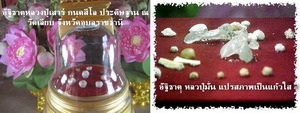 สุดยอด เหรียญ 2 หน้า หลวงปู่มั่น ภูริทัตโต หลวงปู่เสาร์ กันตสีโล เนื้อทองแดง ปี44 สวยแชมป์ หายาก - 5