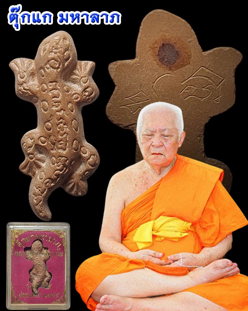 ตุ๊กแกมหาลาภ หลวงพ่อหล่ำ วัดสามัคคีธรรม (2) - 1