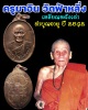 เหรียญหลังเต่า ทำบุญอายุ ปี 2542 หลวงปู่ครูบาอิน วัดฟ้าหลั่ง