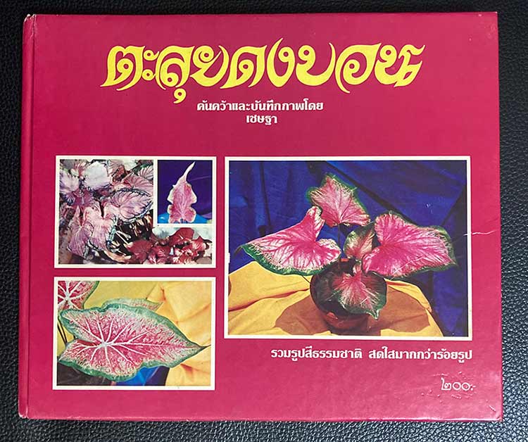 หนังสือ ตะลุยดงว่าน เล่ม 1 , 2 และ ตะลุยดงบอน โดย เชษฐา พยากรณ์ - 4