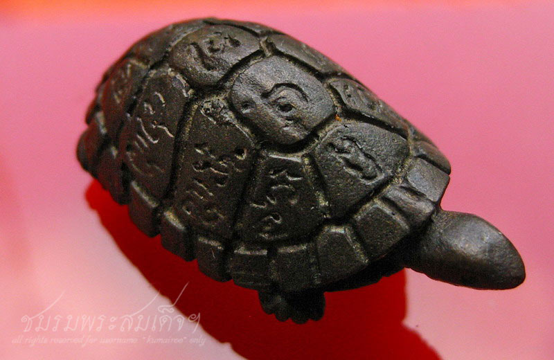 เต่ากัสสโป หลวงปู่หงษ์ พรหมปญฺโญ (166) - 4