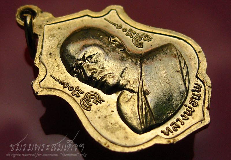 เหรียญพระประทานพร หลวงพ่อแพ วัดพิกุลทอง (4) - 4