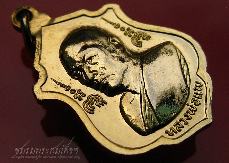 เหรียญพระประทานพร หลวงพ่อแพ วัดพิกุลทอง (5) - 4