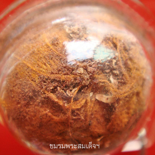 สรีระ หลวงปู่สี - 3
