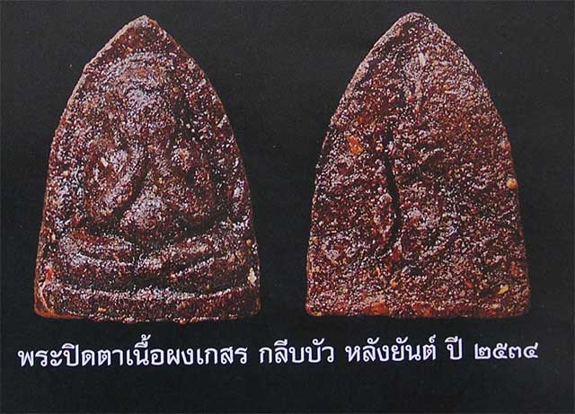 พระปิดตากลีบบัว หลังยันต์ ลป.คำพันธ์ วัดธาตุมหาชัย ปี34.. - 4
