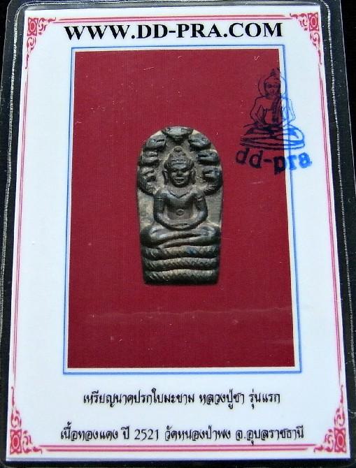 รุ่นแรก หลวงปู่ชา วัดหนองป่าพง พร้อมบัตรรับรองฯ ปรกใบมะขาม หลังยันต์ห้า ปี 21 สวยกริบ เชิญชมครับ - 5