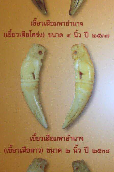 เขี้ยวเสือ หลวงพ่อเปิ่น วัดบางพระ ปี38  - 5