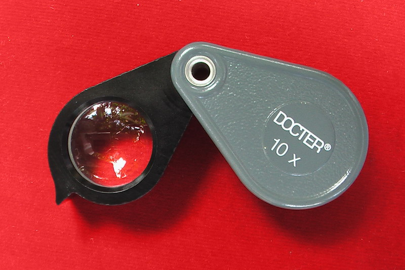 กล้องส่องพระ DOCTER 10X - 1