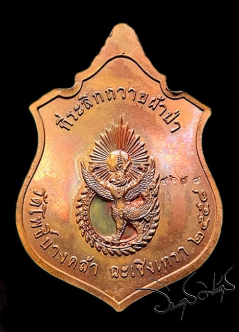เหรียญสมเด็จพระเจ้าตากวัดโพธิ์บางคล้า - 2