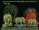 พญาหมูพลิกแผ่นดินหลวงปู่แสนรุ่น1 เนื้อปลอกลูกปืน