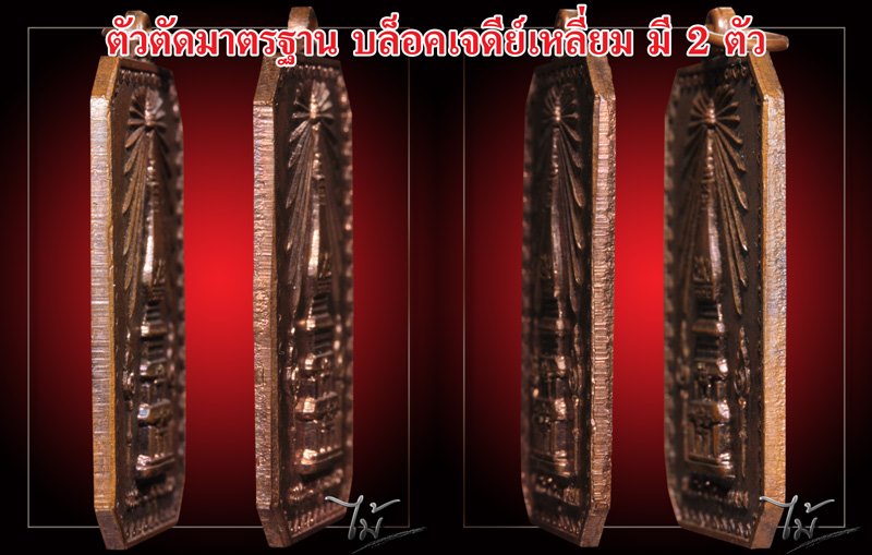 เหรียญสมโภชพระธาตุพนม ปี 18 - 5