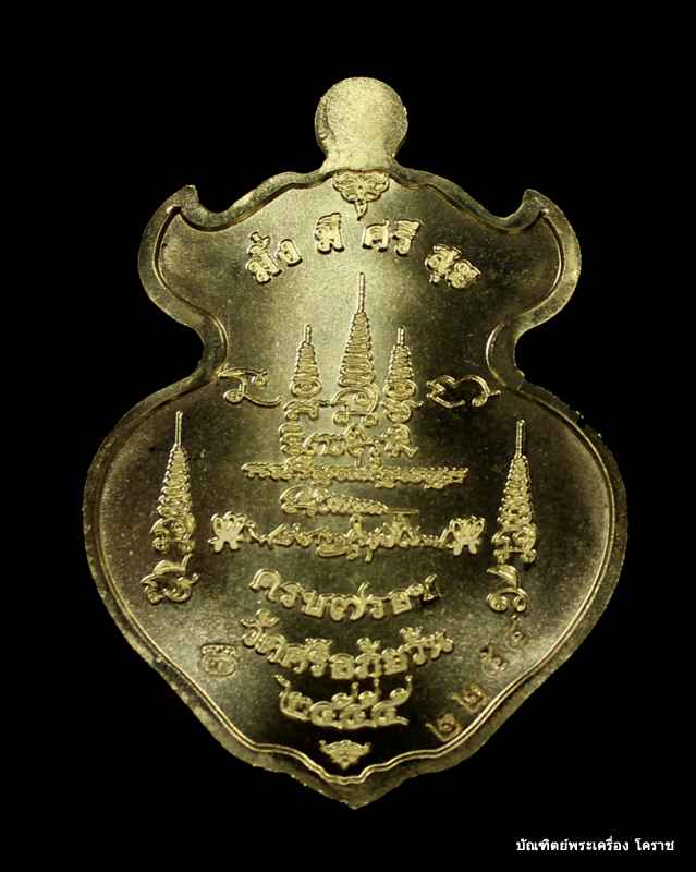 เหรียญหลวงปู่ท่อน ญาณธโร เนื้อทองทิพย์ รุ่นเสมา 7 รอบ วัดศรีอภัยวัน จ. เลย - 2