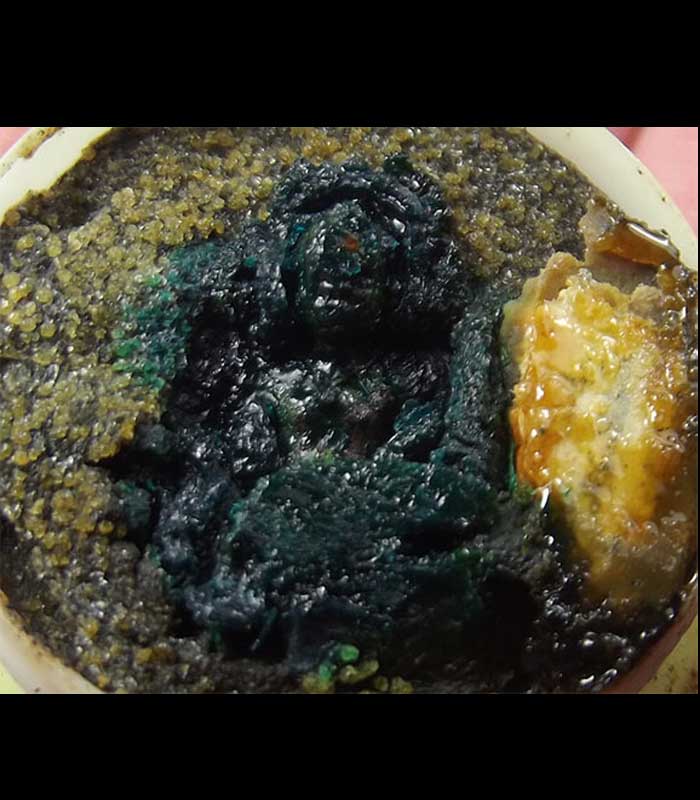 กุมารทองในสีผึ้งงาดำหลวงปู่ชื่น วัดตาอี - 2