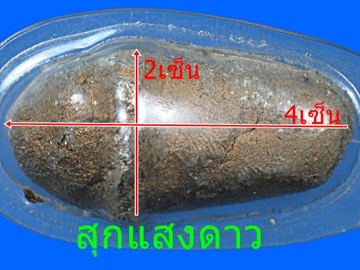 	 ปลัดขิกผง(หัวโตทาทอง) หลวงพ่อสงวนวัดไผ่พันมือ  - 5