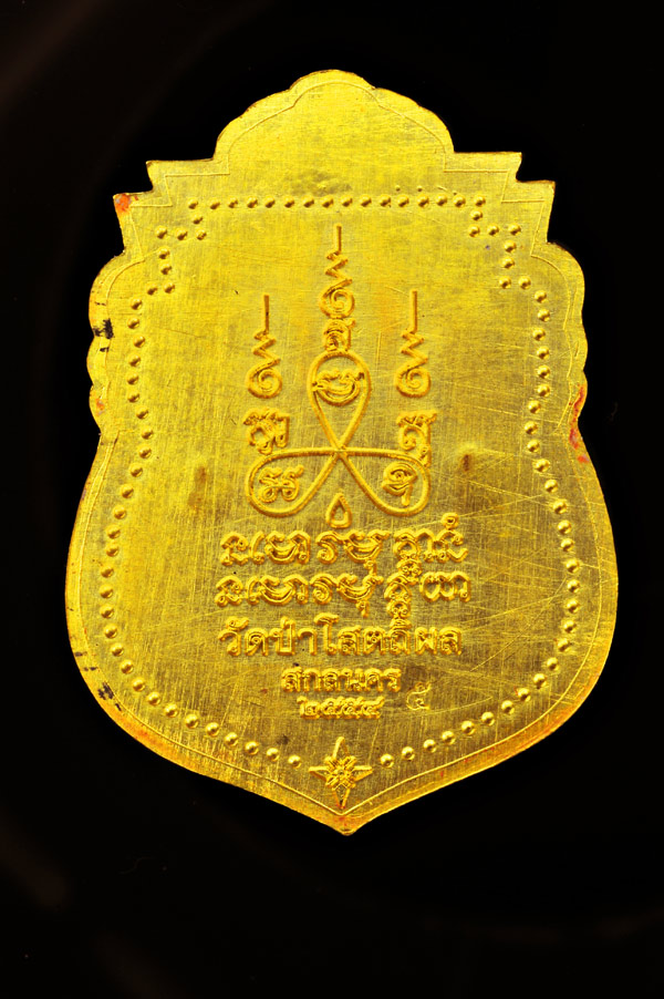 เหรียญหลวงตาบุญหนา ธัมฺมทินฺโน "รุ่นทรัพย์เพิ่มพูน" เนื้อทองคำ สร้างปี 2554 - 2