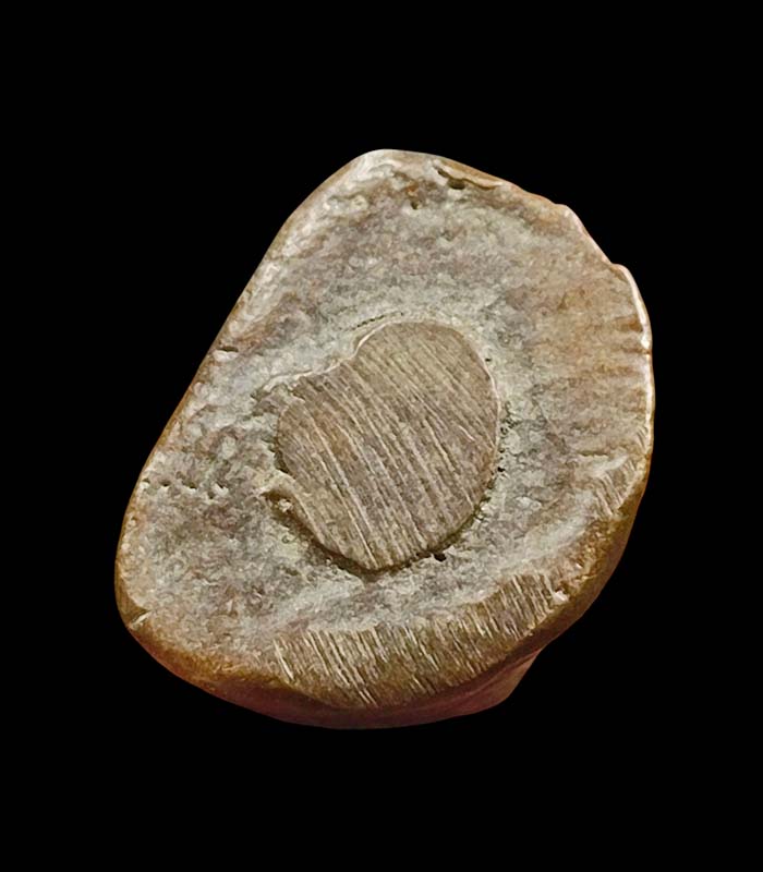 @^_^@รูปหล่อหลวงพ่อเงิน @^_^@ - 3