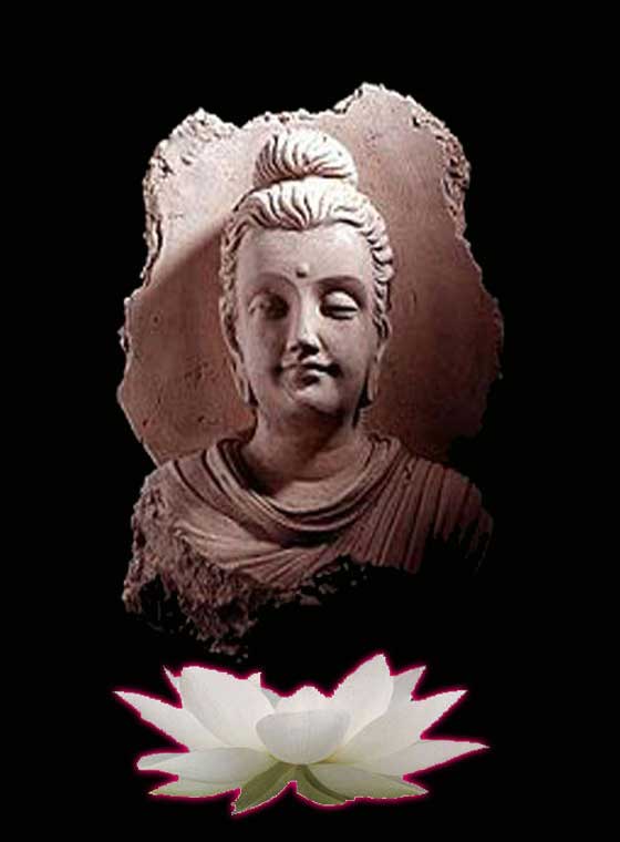 เหรียญ หลวงปู่สอน ปภสฺสโร วัดศรีธรรมราช จังหวัดสกลนคร - 3