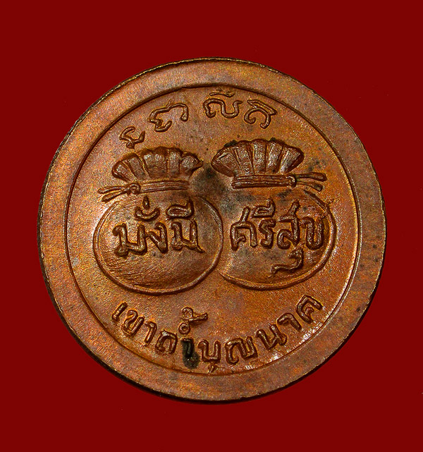 หลวงปู่สี วัดเขาถ้ำบุญนาค ( เหรียญขัวญถุง ) 2519 - 2
