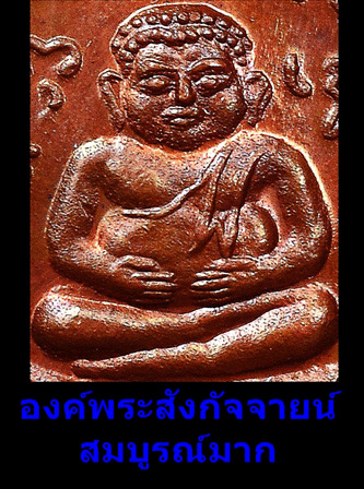 พญาเต่าเรือน หลวงปู่หลิว รุ่นปลดหนี้ ปี 36 เนื้อทองแดง โค้ดยาว จมูกโ่ด่ง ผิวสะอาดตา #4# - 4