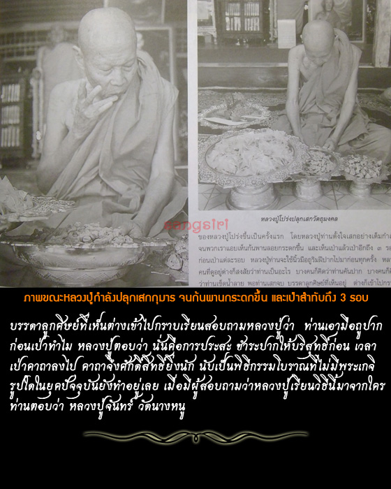 กุมารกวักทรัพย์ ปี 57 หลวงปู่โปร่ง ปืนตัน  - 2